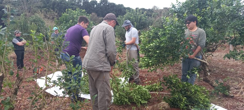 Capacitación sobre cosechas en Laharrague