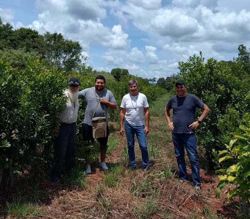 EL INYM analizó la producción yerbatera de la comunidad guaraní Perutí