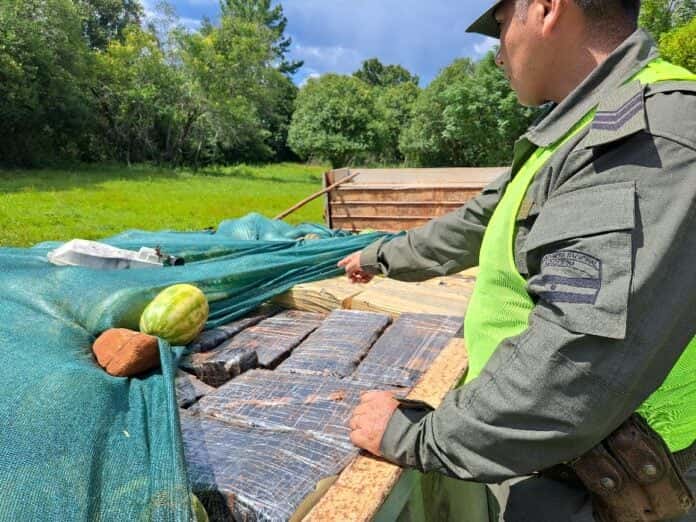 Colonia Alberdi: incautaron más de 4 toneladas de marihuana oculta en sandías y melones