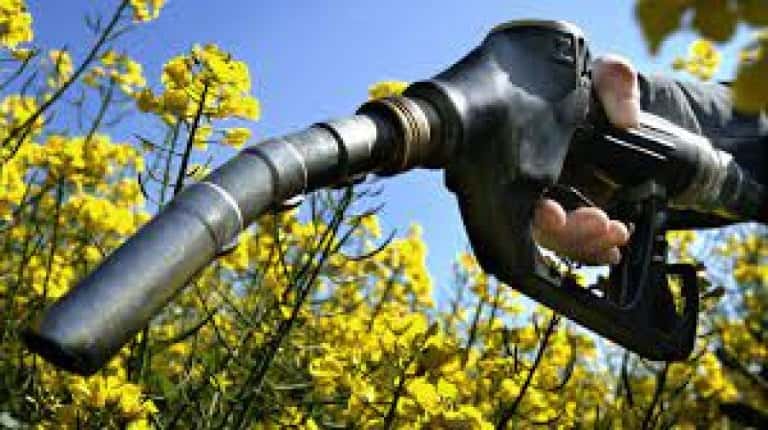 El Gobierno fijó un nuevo aumento en los precios de los biocombustibles
