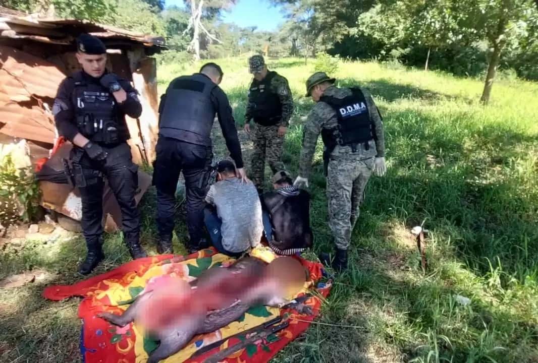 Candelaria: arrestaron a dos cazadores cuando faenaban a un carpincho