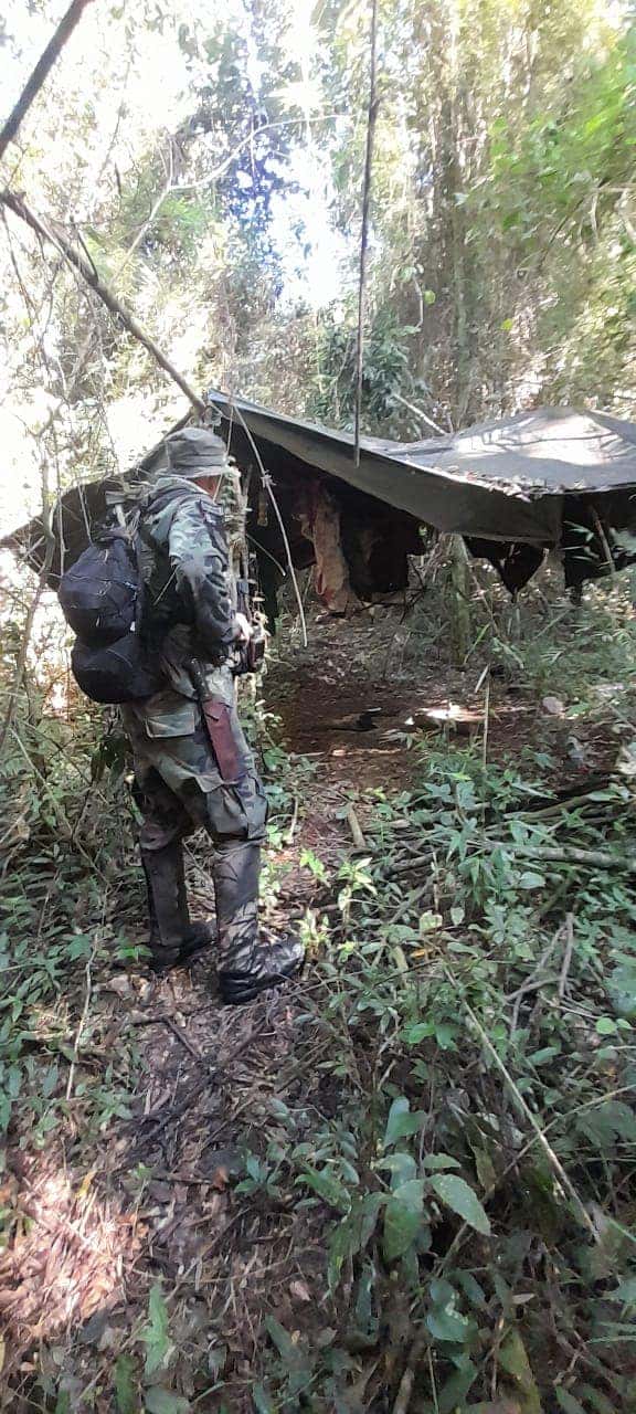 Guardaparques encontraron campamentos furtivos en el parque provincial Urugua-í