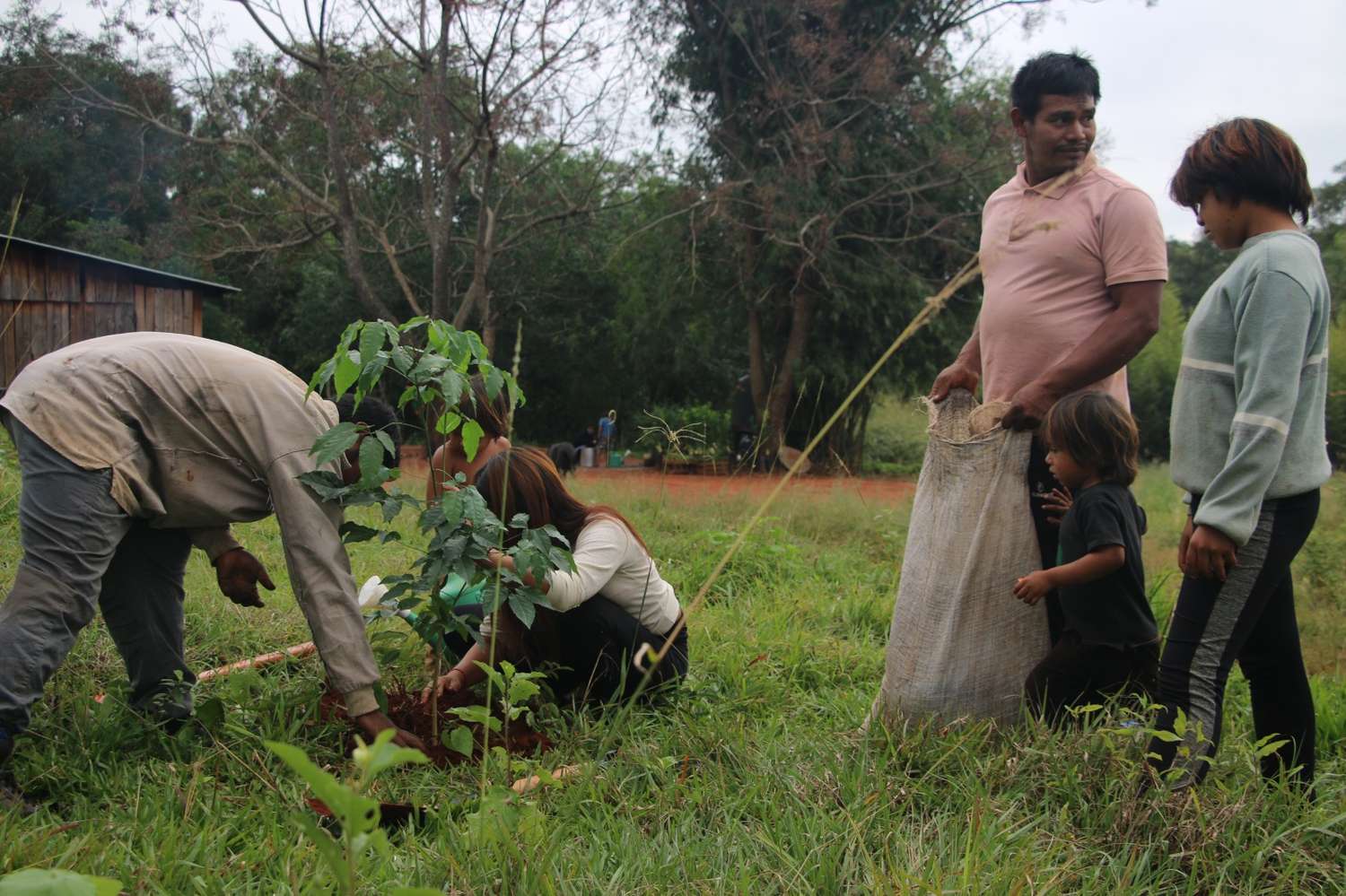 Comunidad Mbya Guaraní de Misiones en busca de recuperar el monte nativo