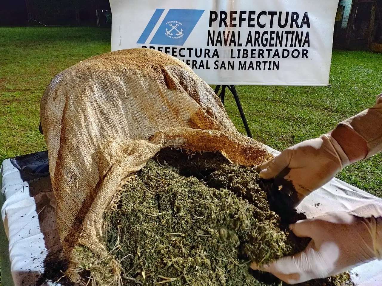 Puerto Rico | Prefectura incauta más de 417 kilos de marihuana.