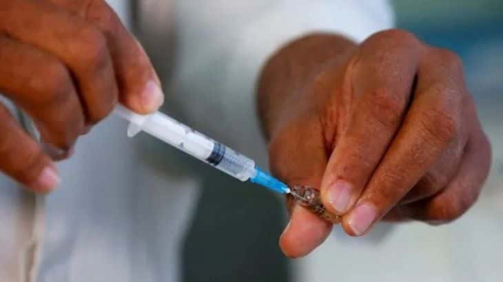 Misiones | La primera provincia del NEA en aplicar la vacunación gratuita contra el dengue