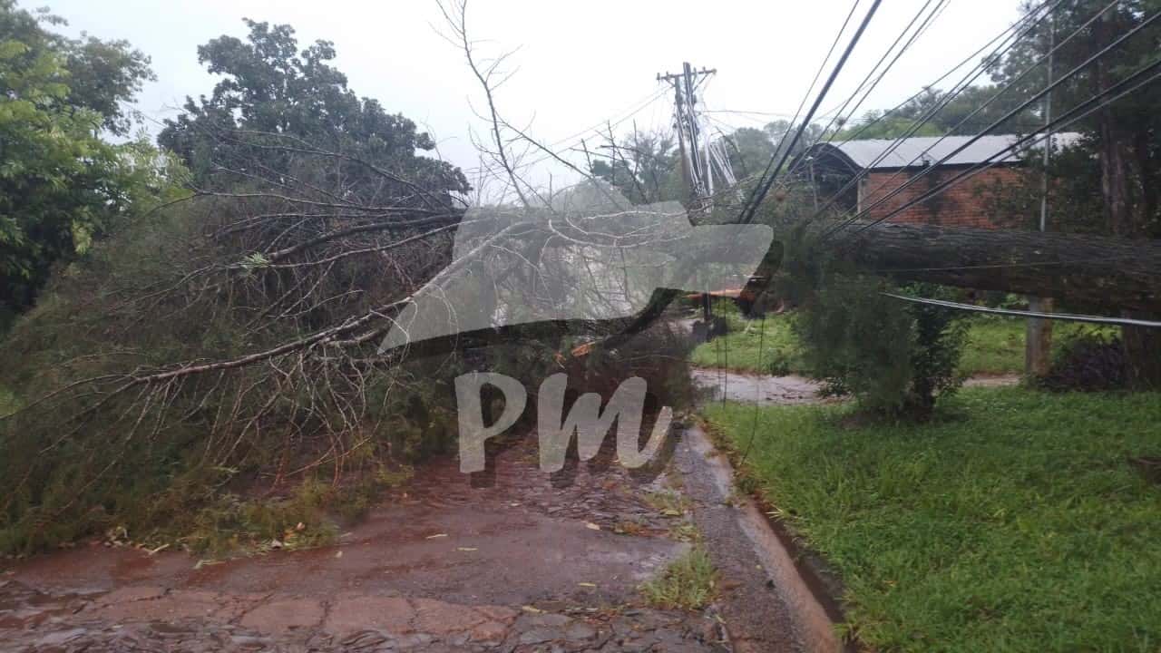 Montecarlo: Fuerte temporal de viento y lluvia provocó voladura de techos y caída de árboles