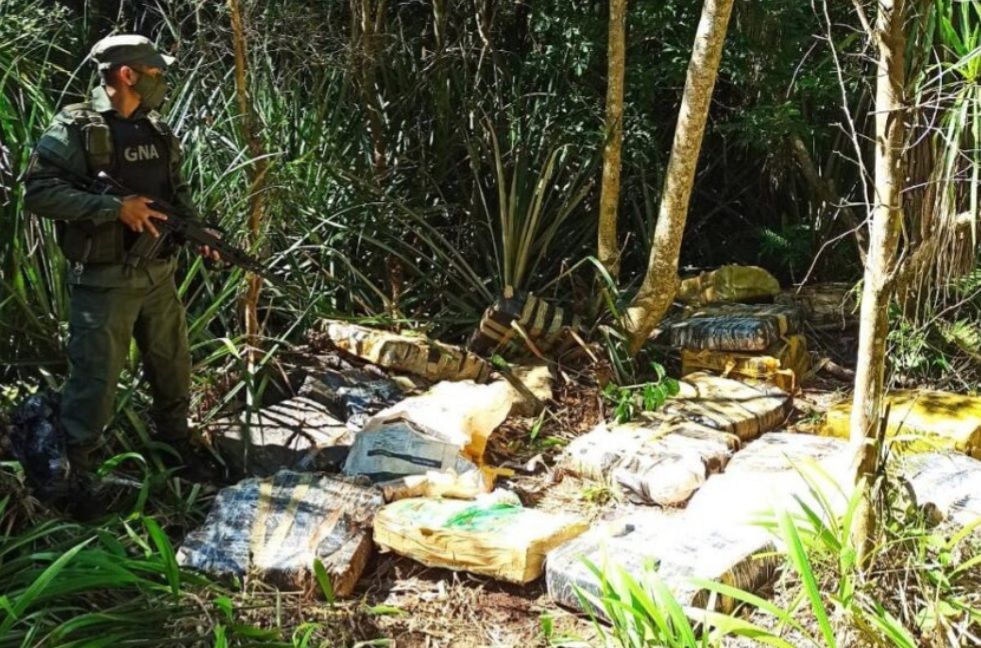 Detectan casi media tonelada de marihuana en un monte