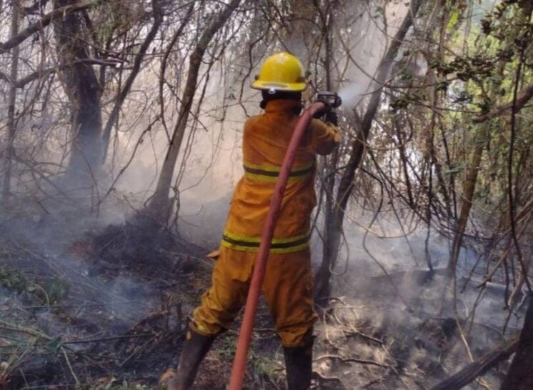 Bomberos intensifican los trabajos para sofocar incendios forestales