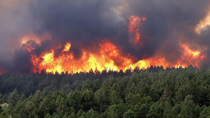 Entidades se reunieron para activar un plan ante incendios