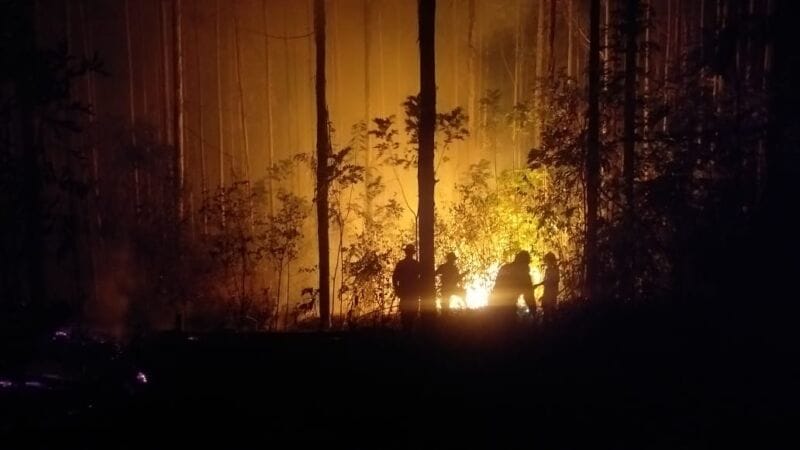 Investigan 70 denuncias por incendios intencionales en Corrientes