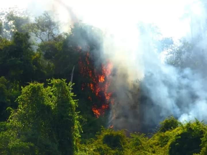 Detuvieron a un hombre por provocar un incendio en la biosfera Yabotí en el año 2020