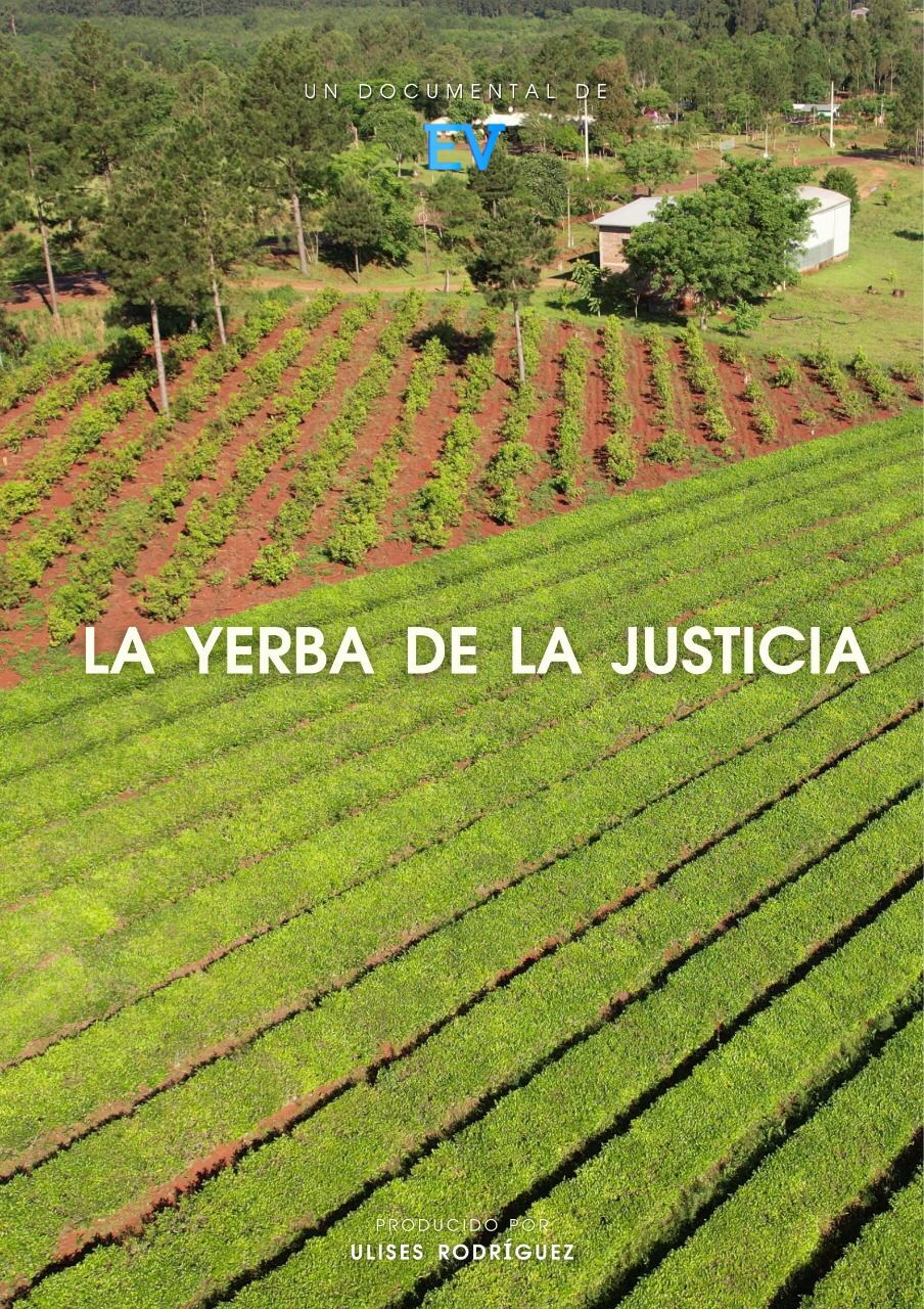 Documental sobre la yerba mate ganó en  Festival de Cine