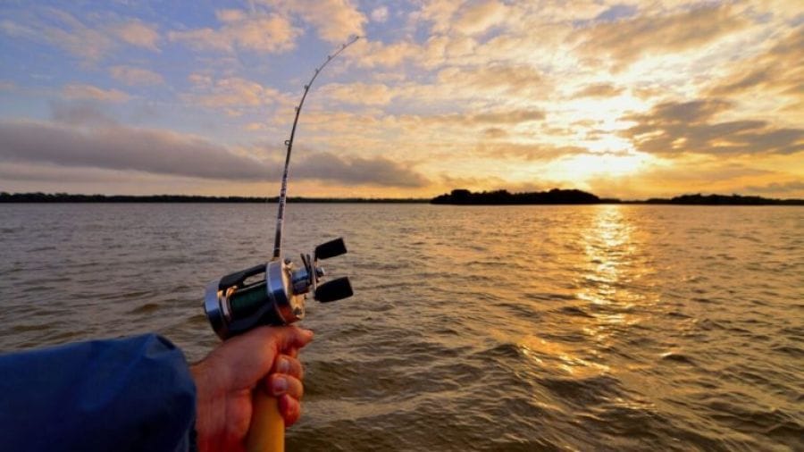 Desde el 31 de octubre inicia la veda de pesca