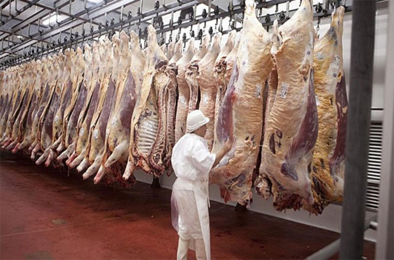 Argentina exportará carne bovina a México