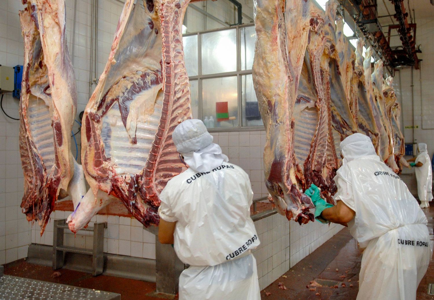 Las exportaciones de carne subieron casi un 10% entre enero y octubre