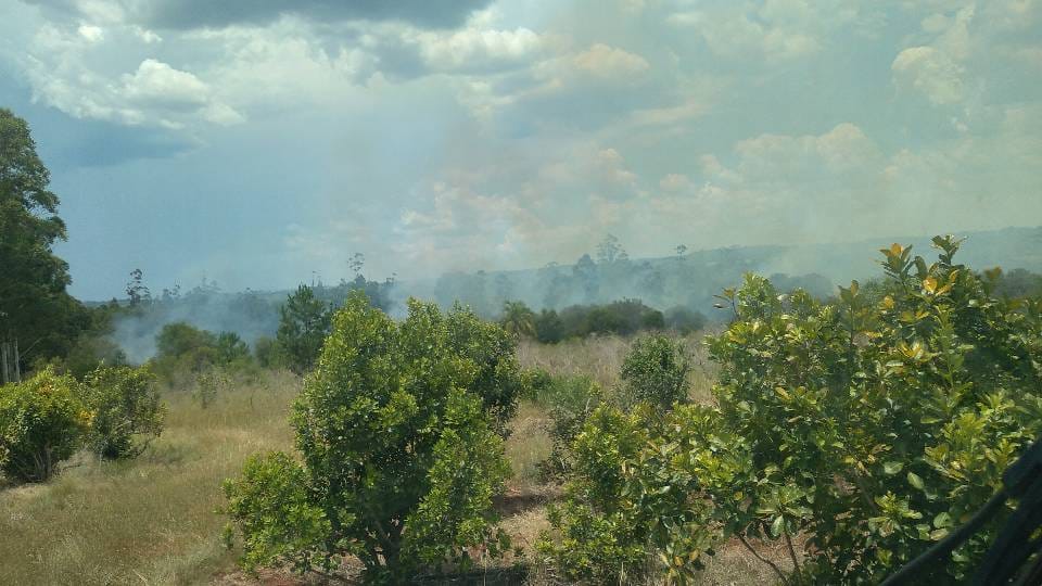 Azara: Bomberos voluntarios sofocaron incendio en un yerbal