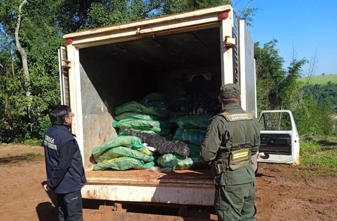 Iguazú | Efectivos de Gendarmería interceptaron un vehículo que transportaba tres mil kilos de carne sin cadena de frio