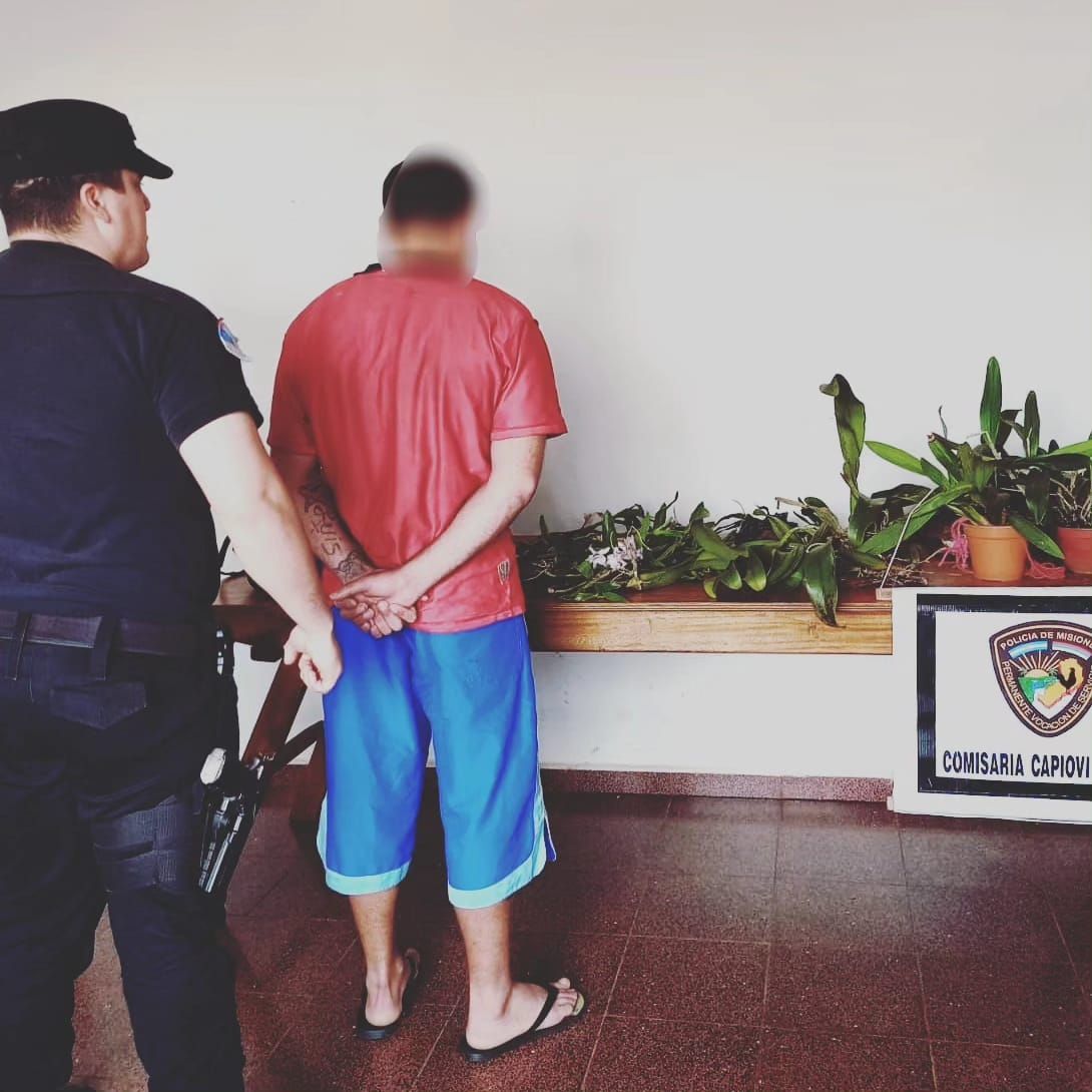 Puerto Rico | Detuvieron a un hombre por robar orquídeas.