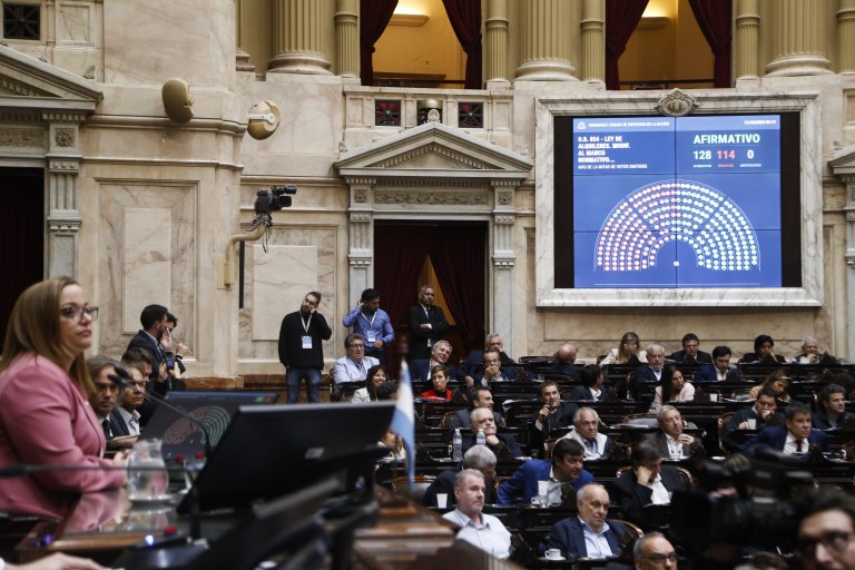 Qué se elige en octubre para el Congreso y qué ponen en juego las fuerzas políticas