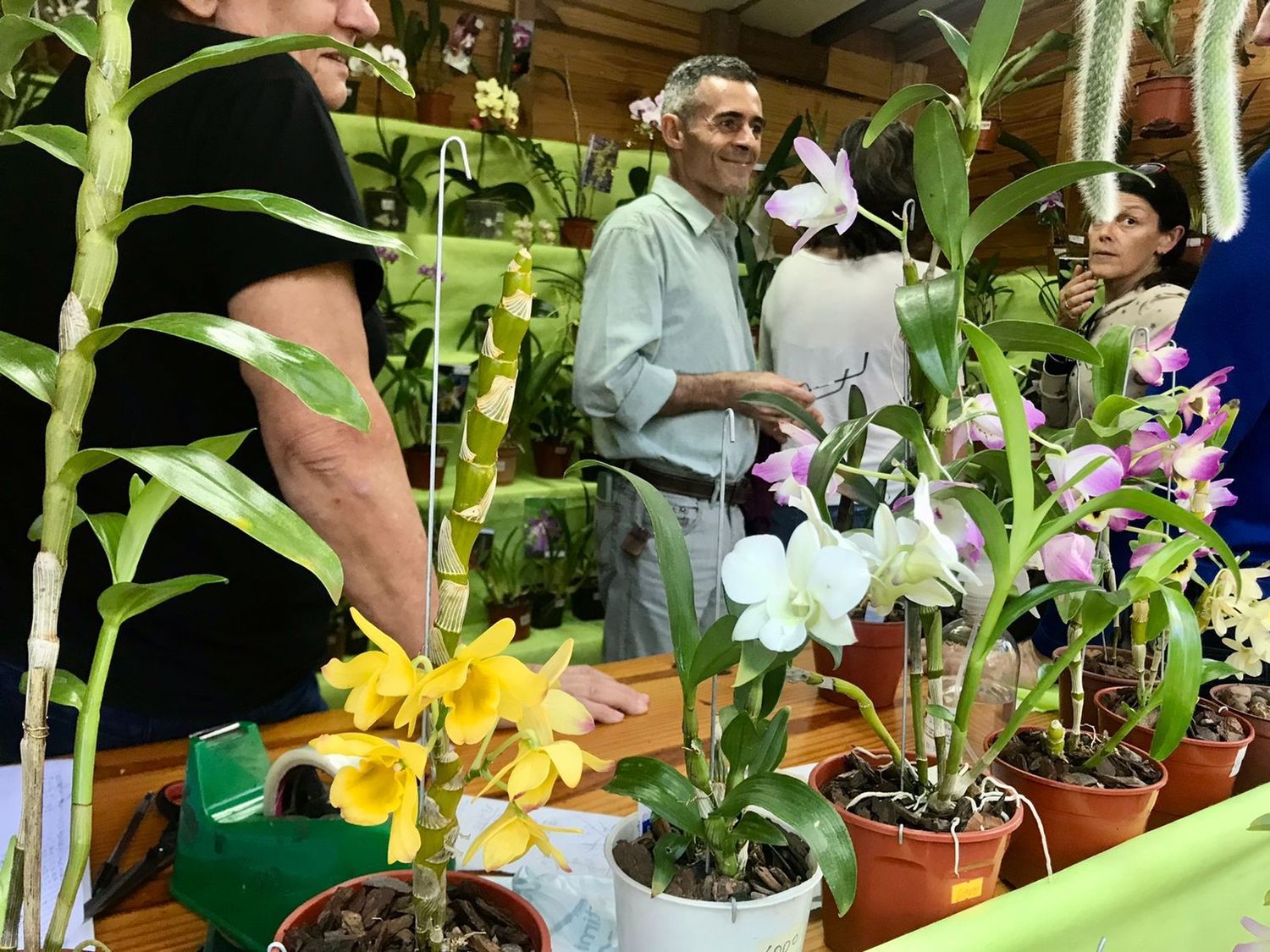 Montecarlo | Más de 10 mil personas disfrutaron de la Fiesta Nacional de la Orquídea y Provincial de la Flor